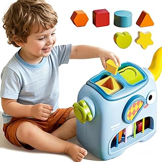 Interactive Shape Sorter Toy,Educational Activity Toy for Toddlers, Fine Motor Skill Development & Cognitive Learning, Durable Plastic Safe Material, Christmas and New Year Gifts for Boys and Girls.